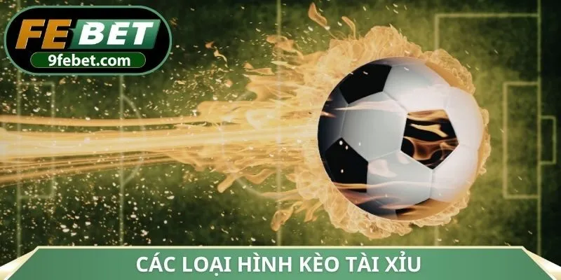 Các loại hình kèo tài xỉu