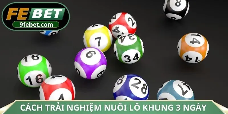 Cách trải nghiệm nuôi lô khung 3 ngày an toàn