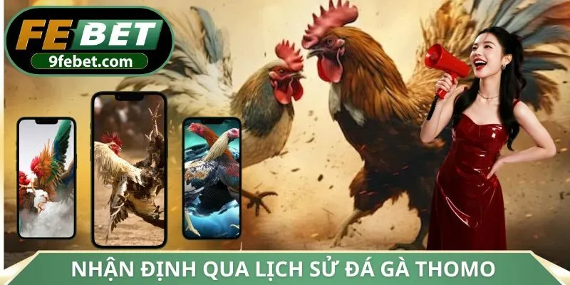 Nhận định thông qua lịch sử đá gà Thomo