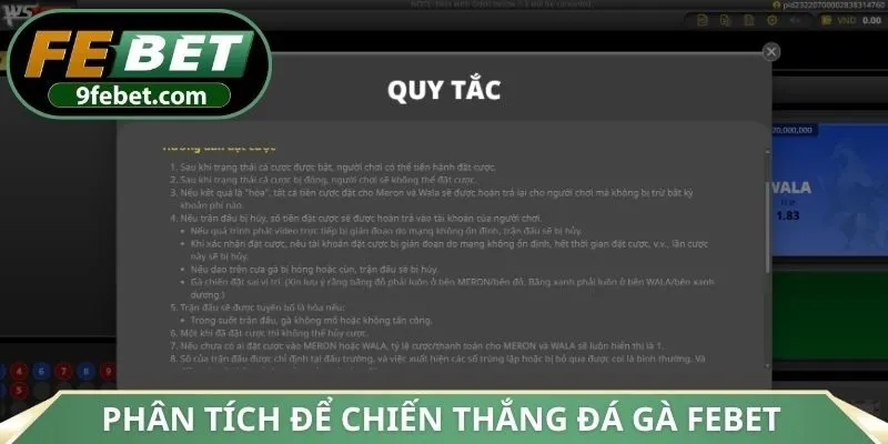 Phân tích để chiến thắng đá gà FEBET